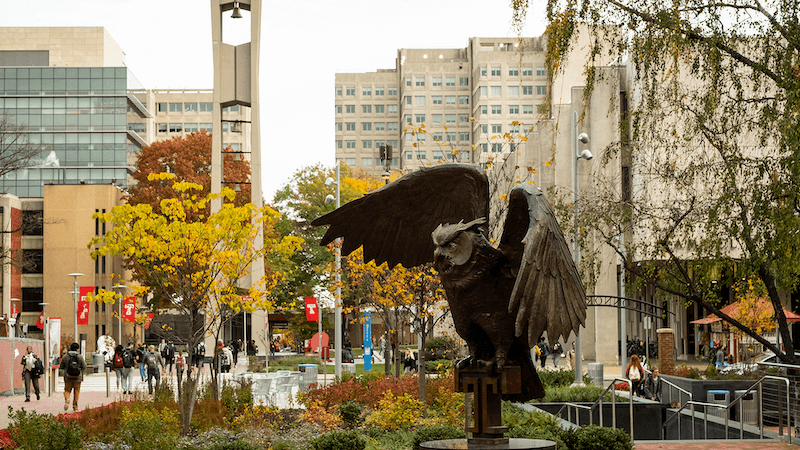 Temple university outlet