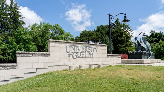 university-of-guelph-adobe-stock-reduced