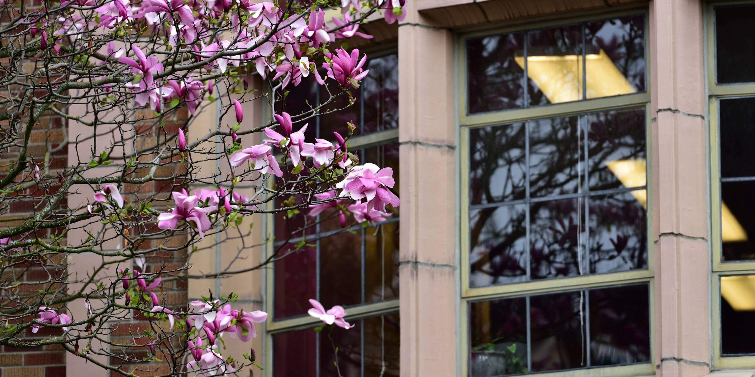 Customer Service: Why It Matters in Continuing Education